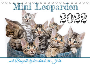 Mini Leoparden – mit Bengalkätzchen durch das Jahr (Tischkalender 2022 DIN A5 quer) von - Sylke Enderlein,  Bethari