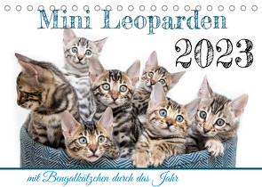 Mini Leoparden – mit Bengalkätzchen durch das Jahr (Tischkalender 2023 DIN A5 quer) von - Sylke Enderlein,  Bethari