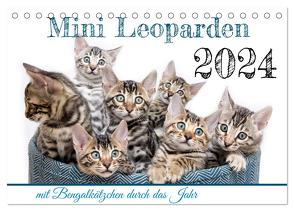 Mini Leoparden – mit Bengalkätzchen durch das Jahr (Tischkalender 2024 DIN A5 quer), CALVENDO Monatskalender von - Sylke Enderlein,  Bethari