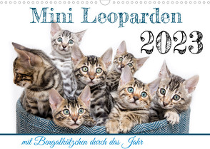 Mini Leoparden – mit Bengalkätzchen durch das Jahr (Wandkalender 2023 DIN A3 quer) von - Sylke Enderlein,  Bethari