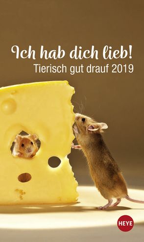 Mini Tierisch gut drauf – Ich hab dich lieb! – Kalender 2019 von Heye, Wegler,  Monika