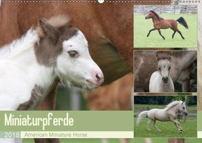 Miniaturpferde – American Miniature Horse (Wandkalender 2018 DIN A2 quer) von Mielewczyk,  Barbara