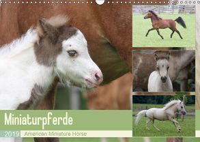 Miniaturpferde – American Miniature Horse (Wandkalender 2019 DIN A3 quer) von Mielewczyk,  Barbara