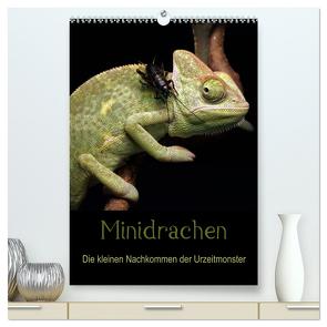 Minidrachen – Die kleinen Nachkommen der Urzeitmonster (hochwertiger Premium Wandkalender 2024 DIN A2 hoch), Kunstdruck in Hochglanz von Enkemeier,  Sigrid