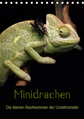 Minidrachen – Die kleinen Nachkommen der Urzeitmonster (Tischkalender 2021 DIN A5 hoch) von Enkemeier,  Sigrid