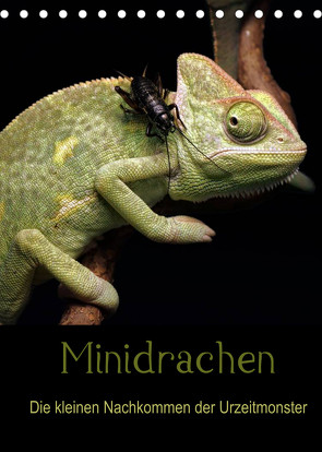 Minidrachen – Die kleinen Nachkommen der Urzeitmonster (Tischkalender 2022 DIN A5 hoch) von Enkemeier,  Sigrid