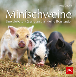 Minischweine von Croft,  Jane