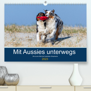 Mit Aussies unterwegs – Die bunte Welt der Australian Shepherds (Premium, hochwertiger DIN A2 Wandkalender 2023, Kunstdruck in Hochglanz) von Mirsberger,  Annett