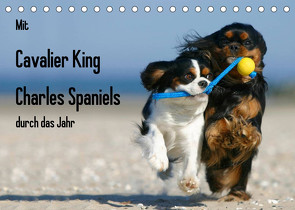 Mit Cavalier King Charles Spaniels durch das Jahr (Tischkalender 2023 DIN A5 quer) von Wegner,  Petra