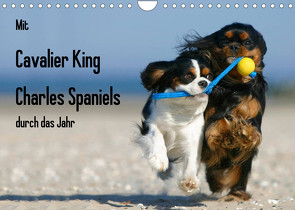 Mit Cavalier King Charles Spaniels durch das Jahr (Wandkalender 2023 DIN A4 quer) von Wegner,  Petra