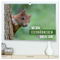 Mit dem Eichhörnchen durchs Jahr (hochwertiger Premium Wandkalender 2024 DIN A2 quer), Kunstdruck in Hochglanz von Brackhan,  Margret