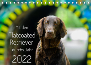 Mit dem Flatcoated Retriever durchs Jahr (Tischkalender 2022 DIN A5 quer) von Röhl,  Stephan