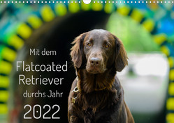 Mit dem Flatcoated Retriever durchs Jahr (Wandkalender 2022 DIN A3 quer) von Röhl,  Stephan