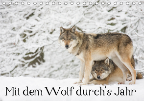 Mit dem Wolf durch’s Jahr (Tischkalender 2021 DIN A5 quer) von Martin,  Wilfried