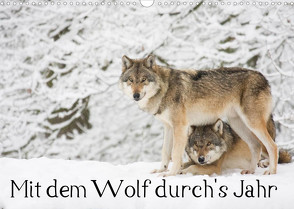 Mit dem Wolf durch’s Jahr (Wandkalender 2022 DIN A3 quer) von Martin,  Wilfried