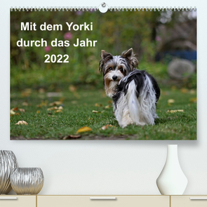 Mit dem Yorki durch das Jahr 2022 (Premium, hochwertiger DIN A2 Wandkalender 2022, Kunstdruck in Hochglanz) von Bauer,  Friedhelm