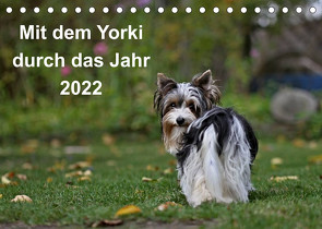 Mit dem Yorki durch das Jahr 2022 (Tischkalender 2022 DIN A5 quer) von Bauer,  Friedhelm