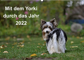 Mit dem Yorki durch das Jahr 2022 (Wandkalender 2022 DIN A2 quer) von Bauer,  Friedhelm