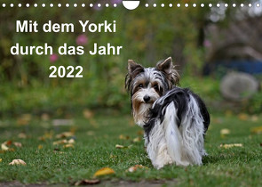 Mit dem Yorki durch das Jahr 2022 (Wandkalender 2022 DIN A4 quer) von Bauer,  Friedhelm