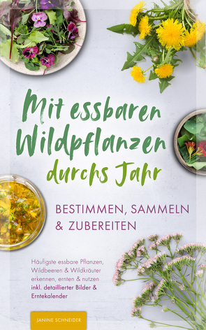 Mit essbaren Wildpflanzen durchs Jahr – bestimmen, sammeln & zubereiten von Schneider,  Janine