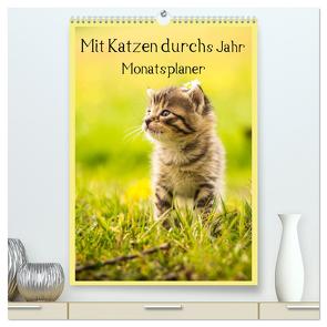 Mit Katzen durchs Jahr / Planer (hochwertiger Premium Wandkalender 2024 DIN A2 hoch), Kunstdruck in Hochglanz von Obermüller Fotografie,  Yvonne