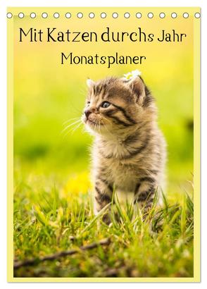 Mit Katzen durchs Jahr / Planer (Tischkalender 2024 DIN A5 hoch), CALVENDO Monatskalender von Obermüller Fotografie,  Yvonne