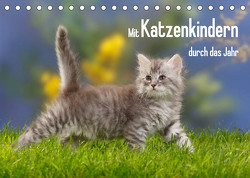 Mit Katzenkindern durch das Jahr (Tischkalender 2023 DIN A5 quer) von Wegner,  Petra