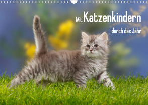Mit Katzenkindern durch das Jahr (Wandkalender 2023 DIN A3 quer) von Wegner,  Petra