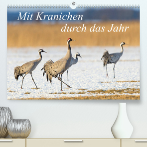 Mit Kranichen durch das Jahr (Premium, hochwertiger DIN A2 Wandkalender 2022, Kunstdruck in Hochglanz) von Smith,  Sidney