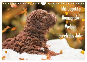 Mit Lagotto Romagnolo Welpen durch das Jahr (Wandkalender 2024 DIN A4 quer), CALVENDO Monatskalender von Starick,  Sigrid