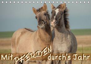 Mit Pferden durch´s Jahr (Tischkalender 2019 DIN A5 quer) von Petzold,  Theresa