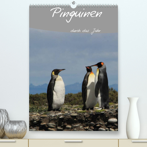 Mit Pinguinen durch das Jahr (Premium, hochwertiger DIN A2 Wandkalender 2023, Kunstdruck in Hochglanz) von Göb,  Clemens, Köhler,  Ute