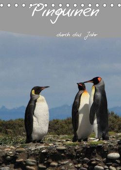 Mit Pinguinen durch das Jahr (Tischkalender 2023 DIN A5 hoch) von Göb,  Clemens, Köhler,  Ute