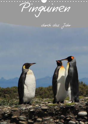 Mit Pinguinen durch das Jahr (Wandkalender 2022 DIN A3 hoch) von Göb,  Clemens, Köhler,  Ute