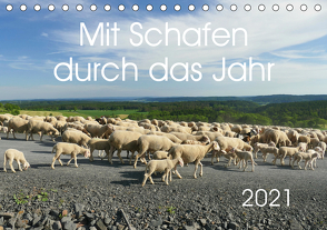 Mit Schafen durch das Jahr (Tischkalender 2021 DIN A5 quer) von CoKeDi-Photographie, Kelle-Dingel,  Cordula