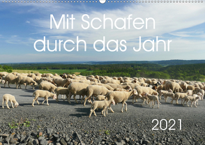 Mit Schafen durch das Jahr (Wandkalender 2021 DIN A2 quer) von CoKeDi-Photographie, Kelle-Dingel,  Cordula