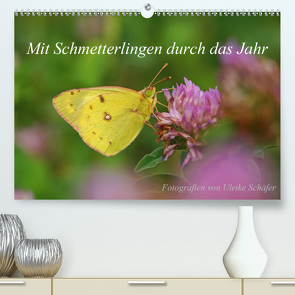 Mit Schmetterlingen durch das Jahr (Premium, hochwertiger DIN A2 Wandkalender 2021, Kunstdruck in Hochglanz) von Schäfer,  Ulrike