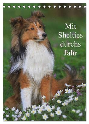 Mit Shelties durchs Jahr (Tischkalender 2024 DIN A5 hoch), CALVENDO Monatskalender von Reiß-Seibert,  Marion