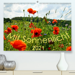 Mit Sonnenlicht (Premium, hochwertiger DIN A2 Wandkalender 2021, Kunstdruck in Hochglanz) von Schmidt,  Sergej