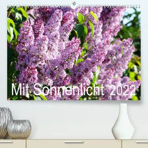 Mit Sonnenlicht (Premium, hochwertiger DIN A2 Wandkalender 2022, Kunstdruck in Hochglanz) von Schmidt,  Sergej