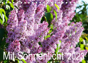 Mit Sonnenlicht (Tischkalender 2023 DIN A5 quer) von Schmidt,  Sergej