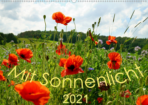 Mit Sonnenlicht (Wandkalender 2021 DIN A2 quer) von Schmidt,  Sergej