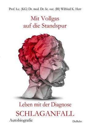 Mit Vollgas auf die Standspur – Leben mit der Diagnose Schlaganfall – Autobiografie von Börsch,  Nicole, Dr. med. sin. Kalg,  ,  Andreas, Herr,  Ina, Prof. h.c. (KG) Dr. med. Dr. lic. oec. (BI),  Wilfried K., Schepp,  Mario