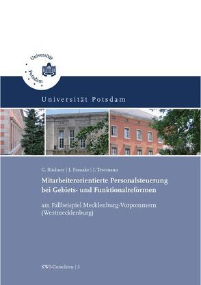 Mitarbeiterorientierte Personalsteuerung bei Gebiets- und Funktionalreformen am Fallbeispiel Mecklenburg-Vorpommern (Westmecklenburg) von Büchner,  Christiane, Franzke,  Jochen, Tessmann,  Jens