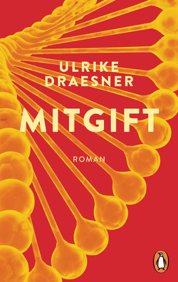 Mitgift von Draesner,  Ulrike