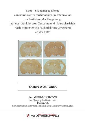 Mittel- & langfristige Effekte von kombinierter multimodaler Frühstimulation und aktivierender Umgebung auf neurofunktionales Outcome und Neuroplastizität nach experimenteller Schädel-Hirn-Verletzung an der Ratte von Wontorra,  Katrin