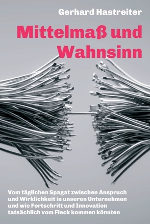 Mittelmaß und Wahnsinn von Hastreiter,  Gerhard, Kennel,  Sabine