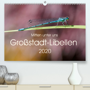 Mitten unter uns – Großstadt-Libellen (Premium, hochwertiger DIN A2 Wandkalender 2020, Kunstdruck in Hochglanz) von Wibke Hildebrandt,  Anne