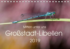 Mitten unter uns – Großstadt-Libellen (Tischkalender 2019 DIN A5 quer) von Wibke Hildebrandt,  Anne