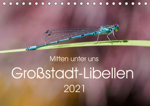 Mitten unter uns – Großstadt-Libellen (Tischkalender 2021 DIN A5 quer) von Wibke Hildebrandt,  Anne